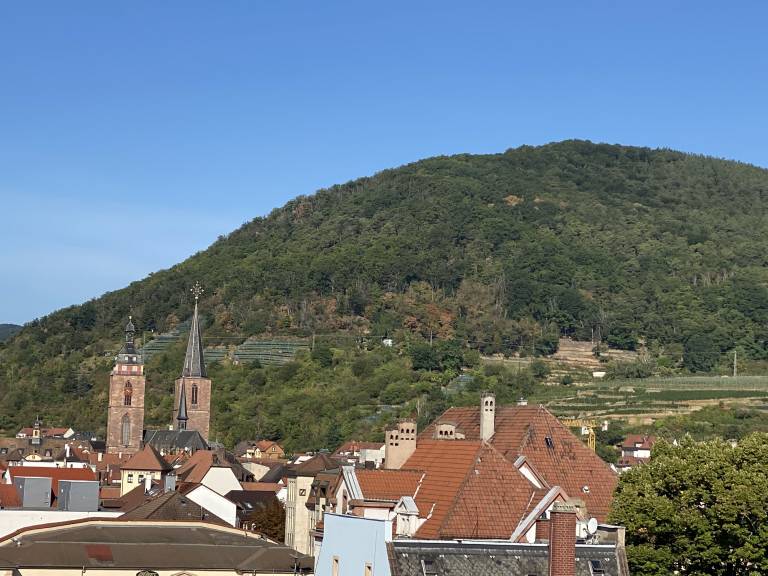 Ferienwohnung Gimmeldingen