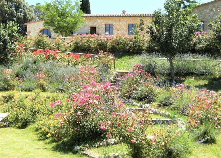 Privatzimmer Colle di Val d'Elsa