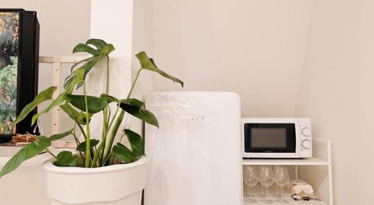 Rental apartment | Pets are welcome — photo 4