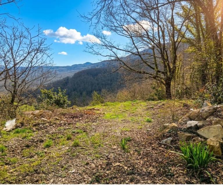 Agriturismo Li Guira – Natura, uliveti ed esperienze autentiche nel Cilento: L'Ulivo: Spazio per 7 (no cucina) nel cuore del Parco del Cilento. Autentica semplicità rurale e due bagni per il massimo comfort. — photo 3