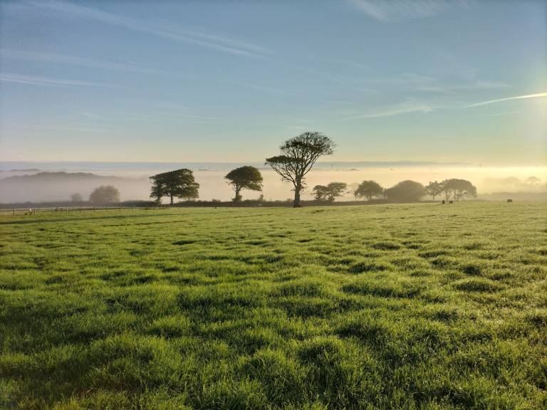 Farmhouse  Holsworthy Hamlets