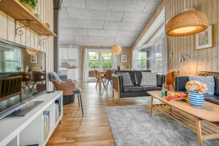 Ferienhaus  Vorupør