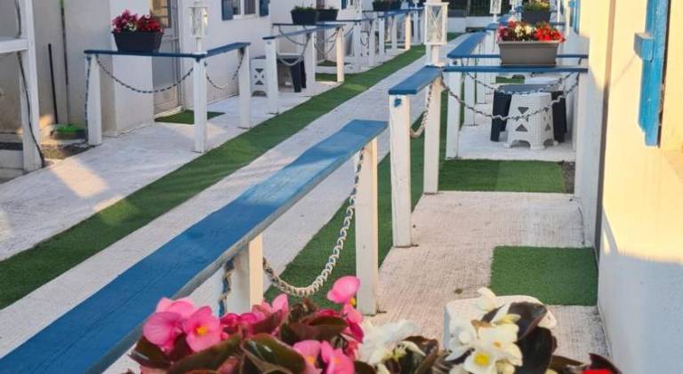 House with garden, BBQ & patio in Constanta