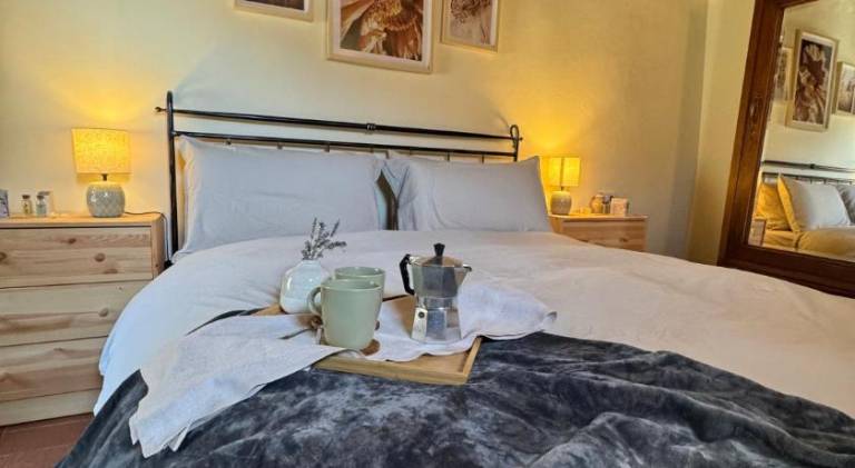 Holiday apartment with pool | Pets allowed in Gaiole in Chianti