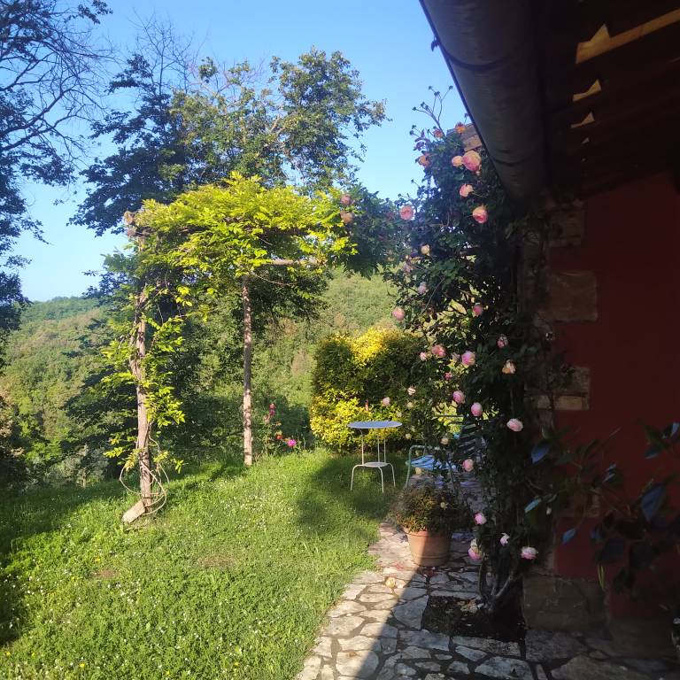 foto46