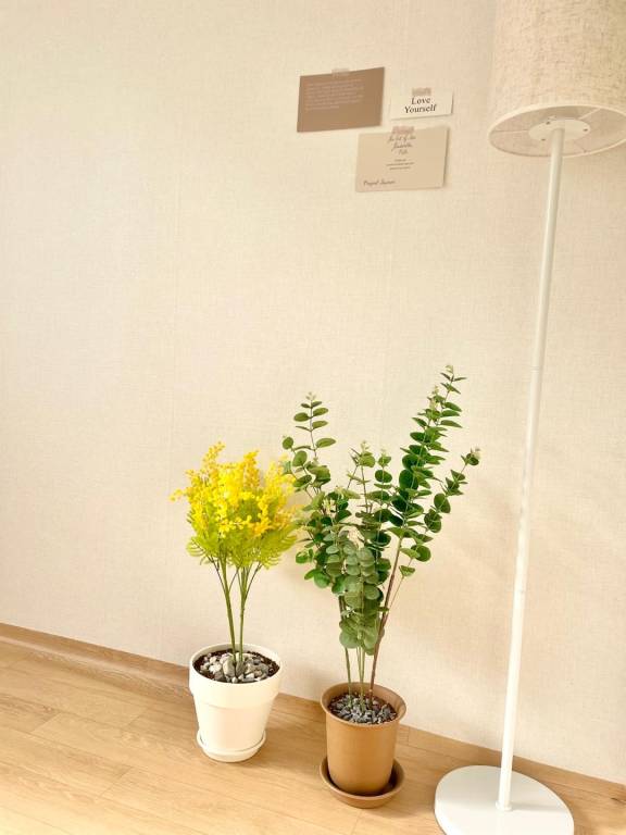 foto18
