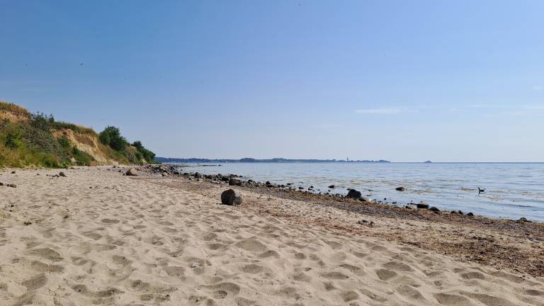 foto16