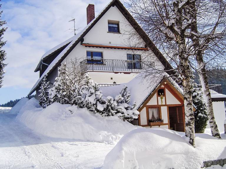 Ferienwohnung  Eisenbach (Hochschwarzwald)