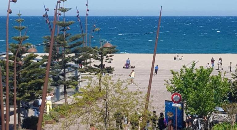 Wonderful apartment | Next to the beach | Pet-friendly in Collioure