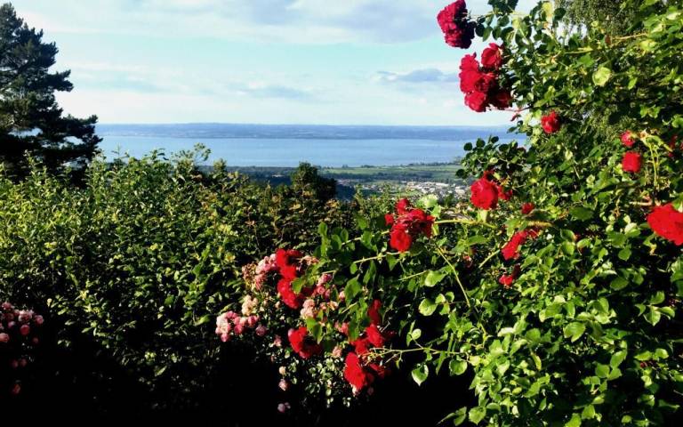 foto21