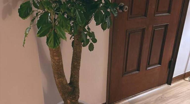 foto30