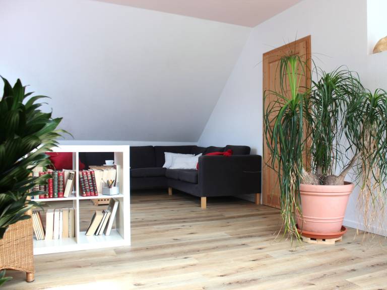 Apartment 'Auf Der Baar' with Private Terrace, Wi-Fi and Air Conditioning — photo 3