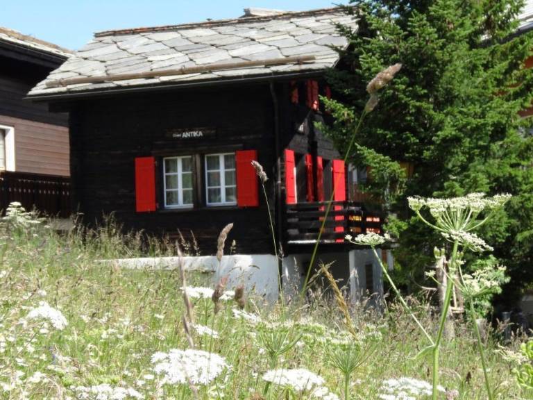 Appartement Saas-Grund