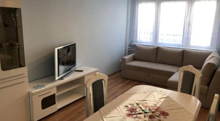 Apartment | Pet-friendly — photo 2