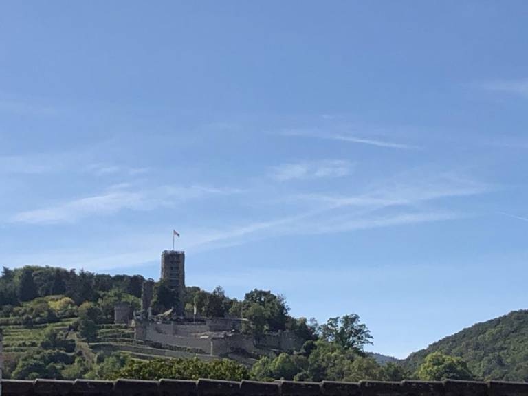 foto6