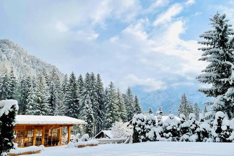 Chalet  Waidring
