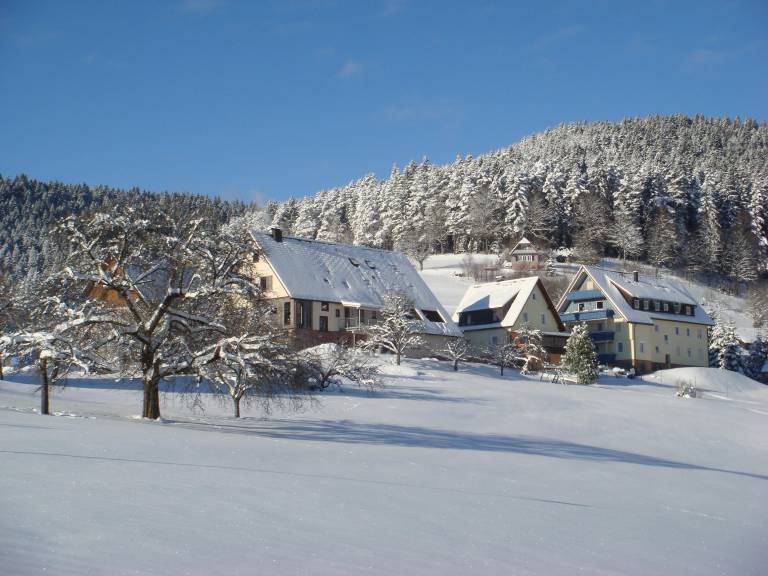 foto6