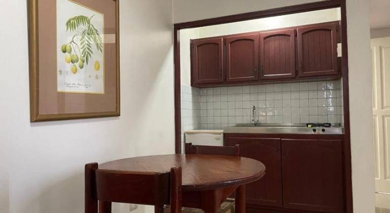 Serviced apartment with terrace — photo 4