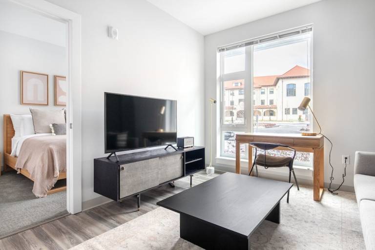 Apartment  Chestnut Hill