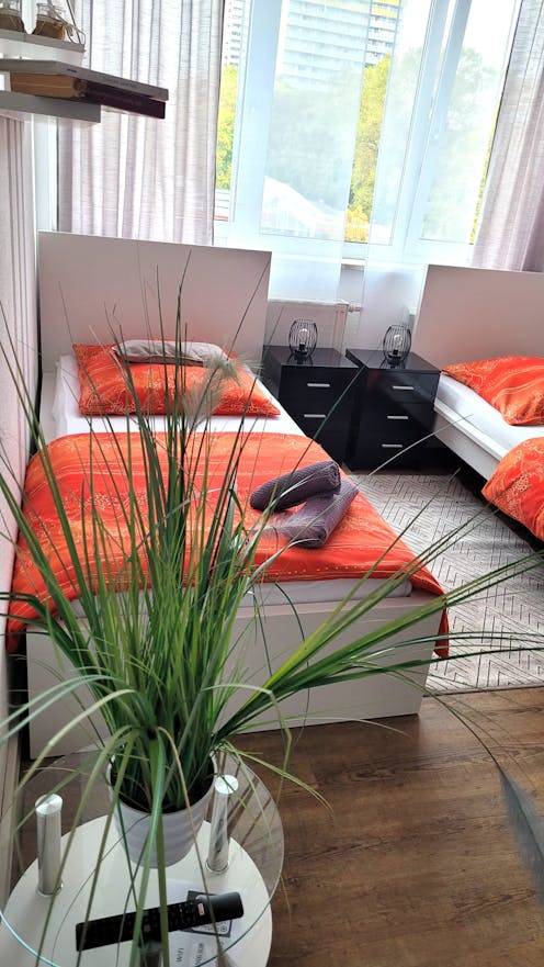Ferienwohnung  Gonsenheim