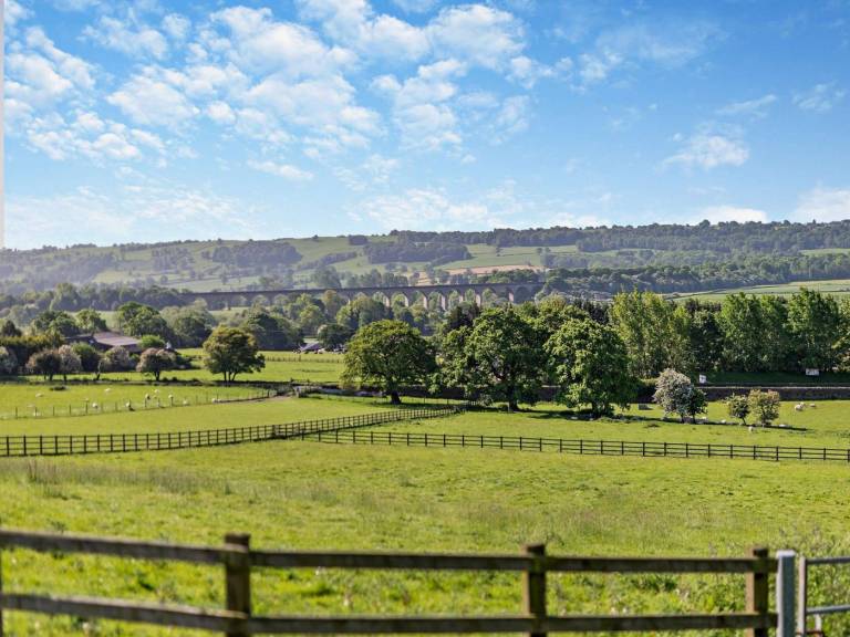 foto15