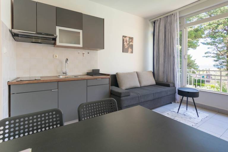 Holiday apartment with terrace & barbecue | Beach nearby | Pets are welcome — photo 5