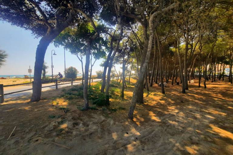 foto12