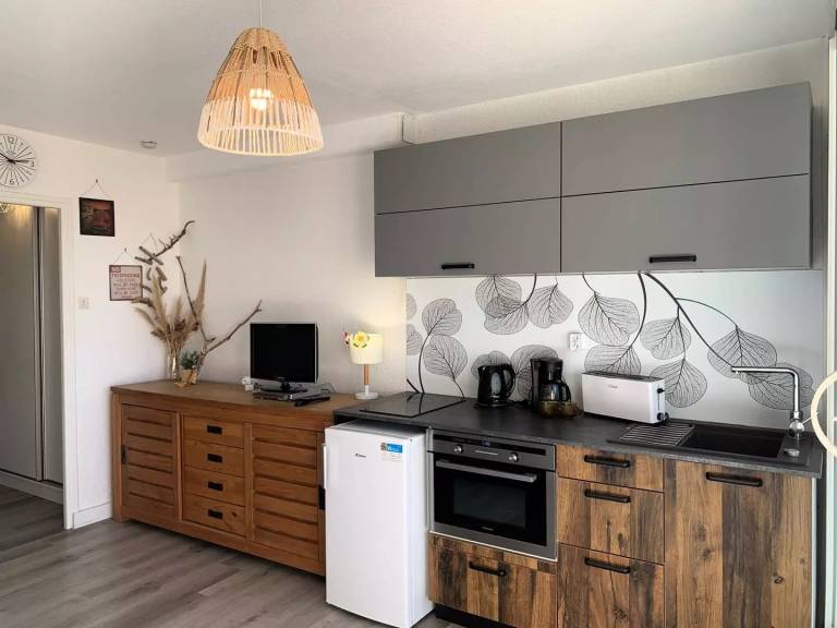 Studio with 1 room for 4 persons — photo 4
