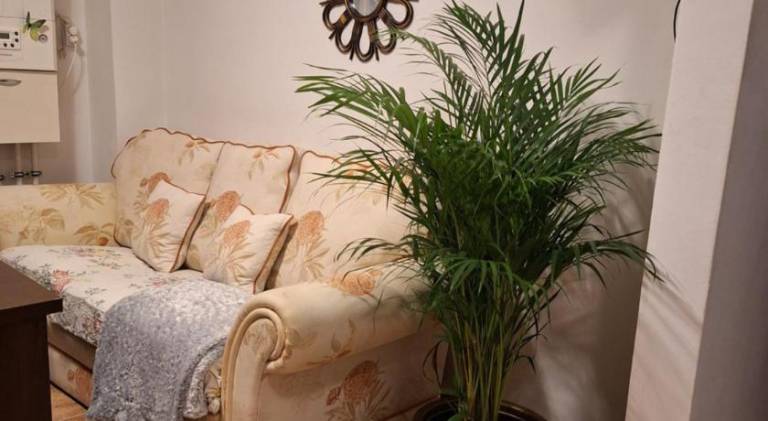 Apartment Râmnicu Vâlcea
