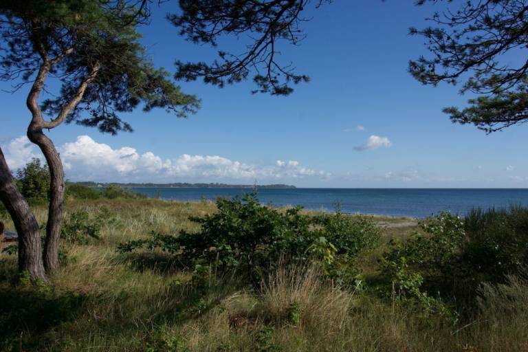 Ferienhaus Breege