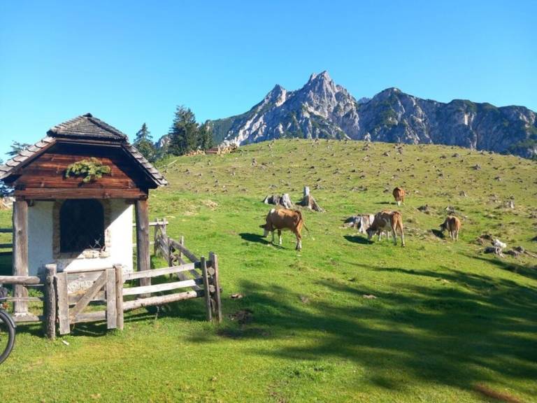 Dom Berchtesgaden
