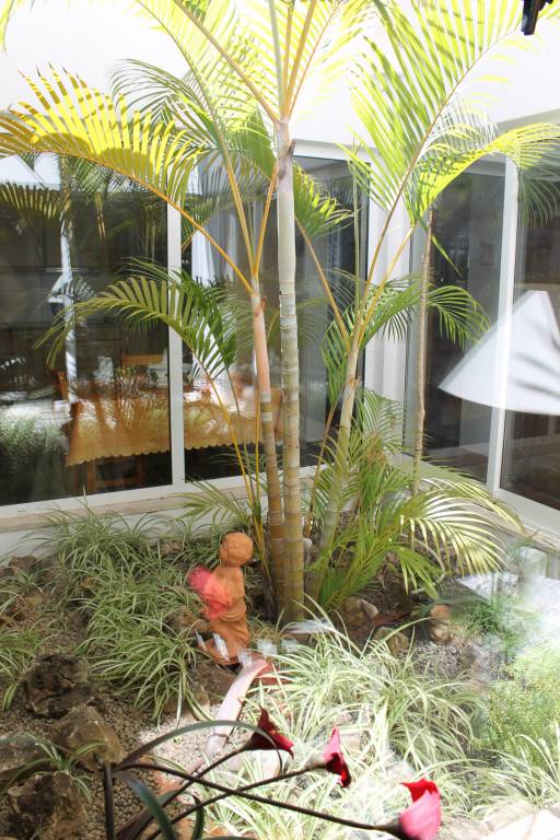ABF18V3 Moradia qualidade e piscina, lindas v — photo 4