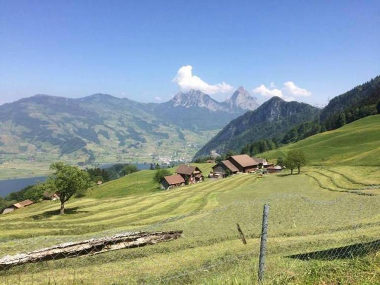 foto14