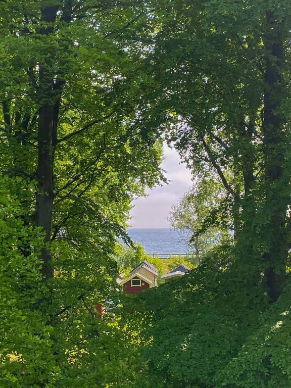 foto21