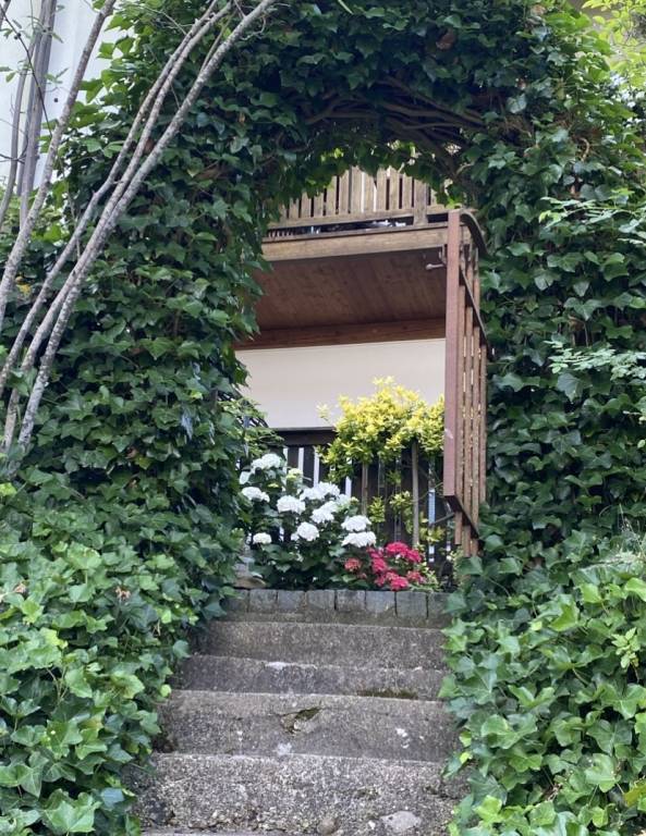 foto30
