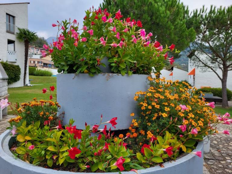 foto49