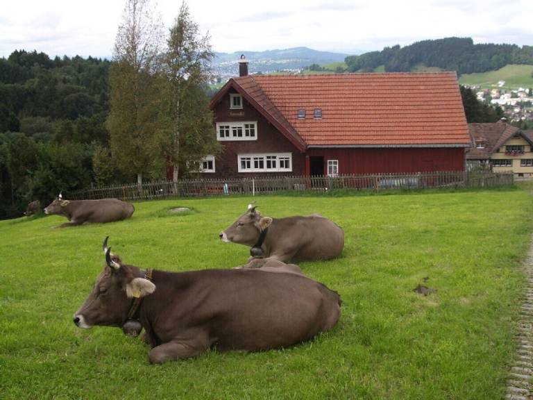 Ferienhaus Appenzell
