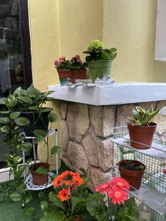 foto20