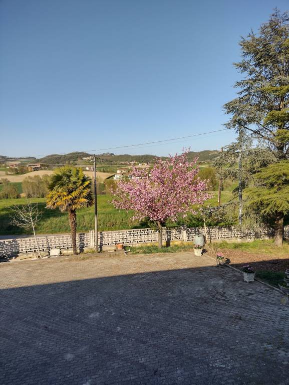 foto16