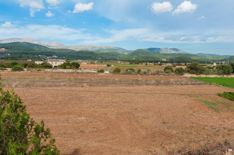 foto45