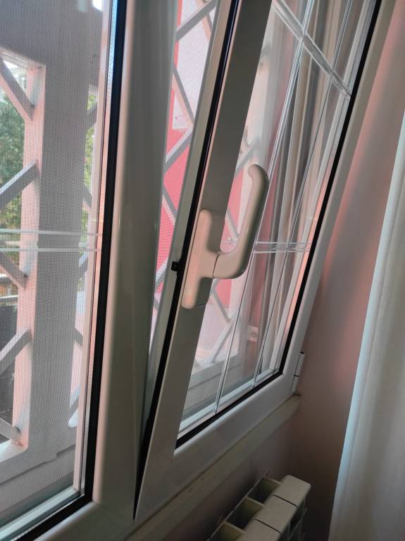 foto12