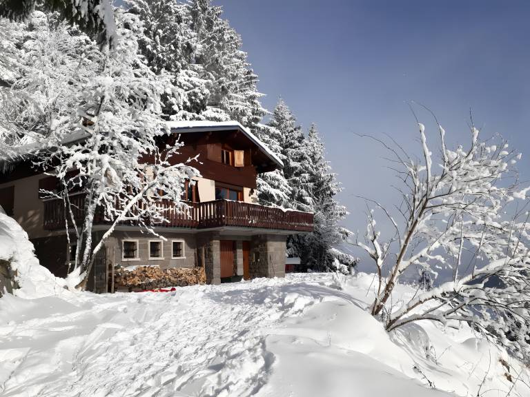 Chalet with terrace, yard & barbeque | City view | Next to the ski | Perfect for remote work | Pet-friendly — photo 2