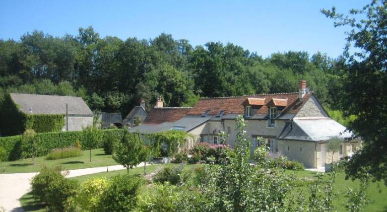 Big villa | Pets allowed in Chinon