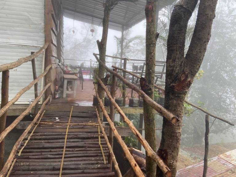Kodai Woodhouse — photo 3