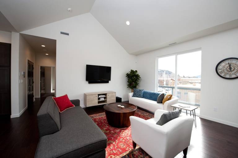 New Pet Friendly Award Winning Condo - 10 Minute walk to downtown Durango — photo 3