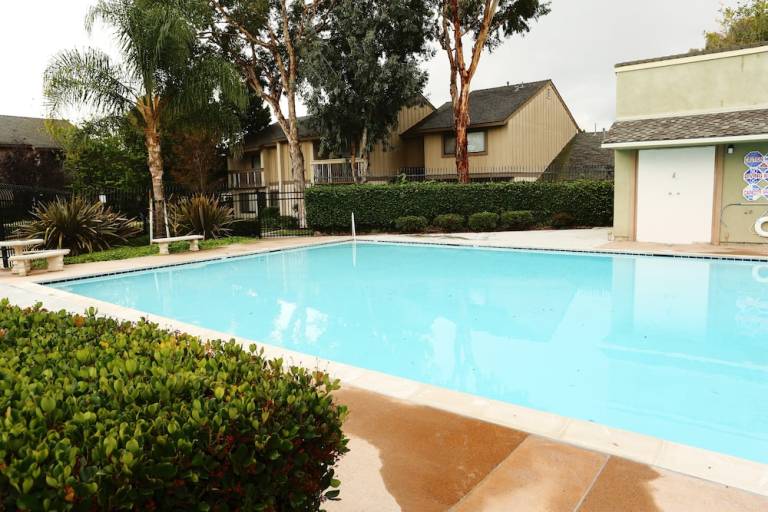 Condo Disneyland Park