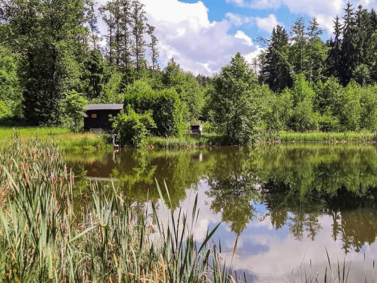 Ferienwohnung Mitterteich