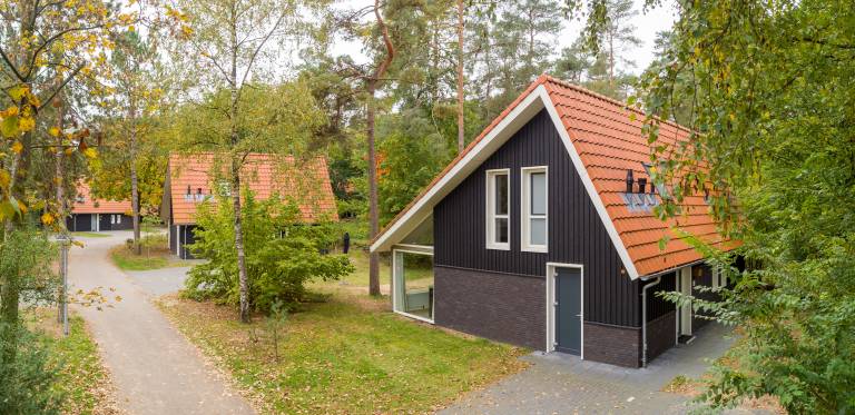 Bungalow Bosgebied Hoenderloo