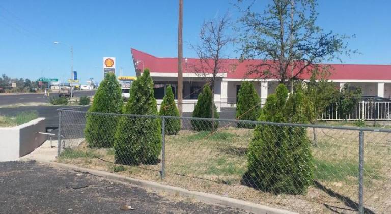 Budget Inn — photo 3
