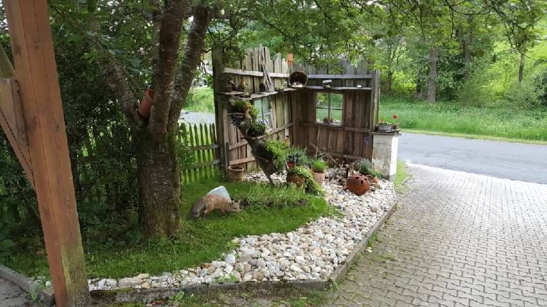 foto32